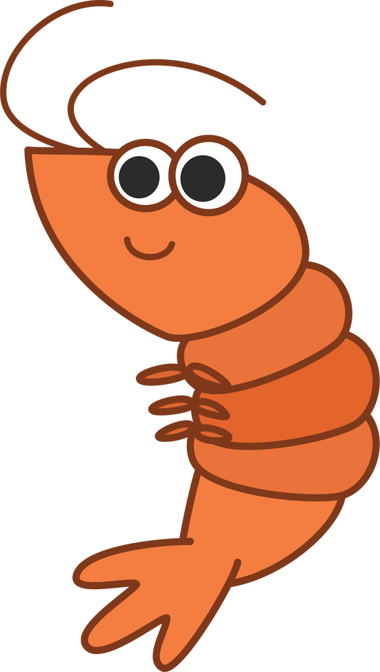 Sea Shrimp Illustration